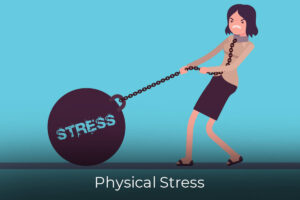 Physical Stress